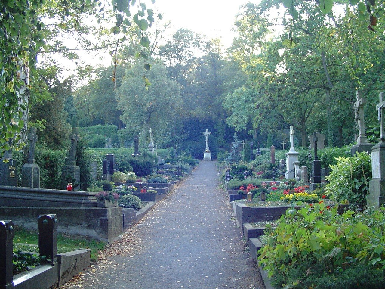 Allee im historischen Friedhofsteil Poppelsdorf – Friedhof Poppelsdorf